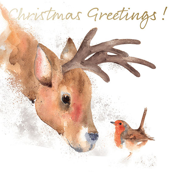 Christmas cards Reindeer & Robin