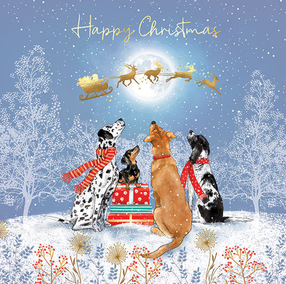 Christmas Cards Looking out for Santa