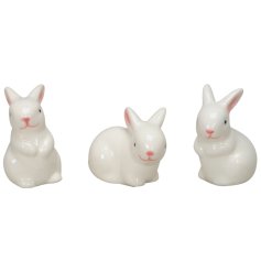 White Porcelain Bunnies